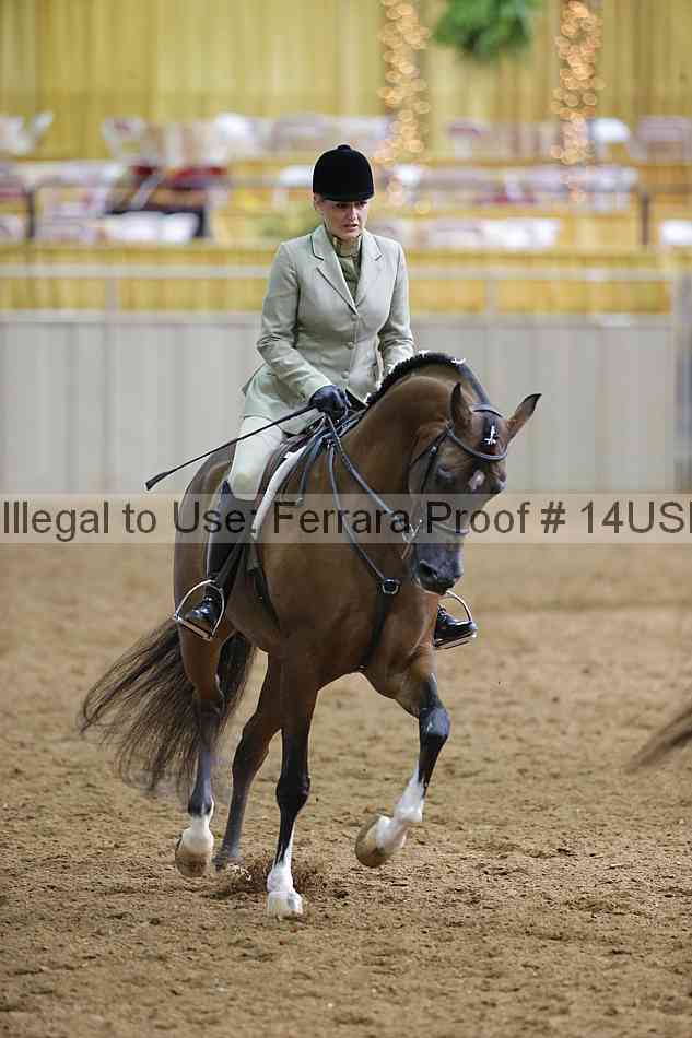 Proof 14usn_06424