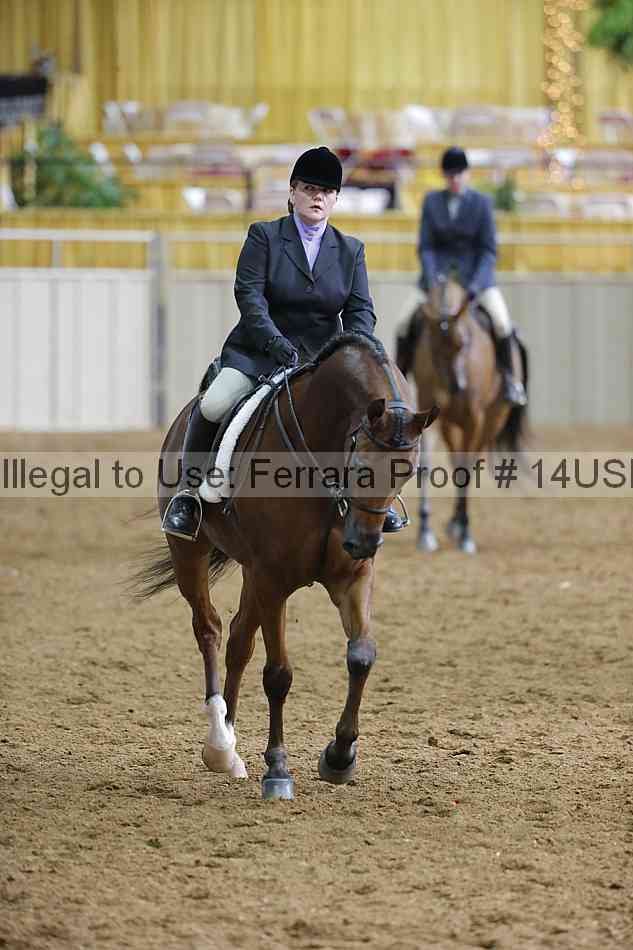 Proof 14usn_06428