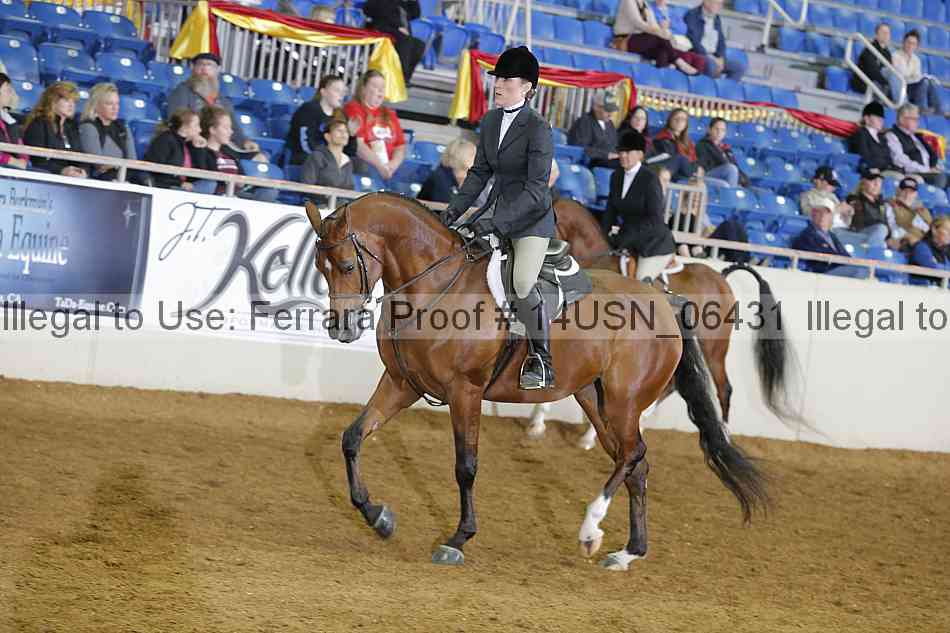 Proof 14usn_06431