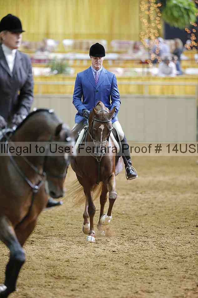 Proof 14usn_06435