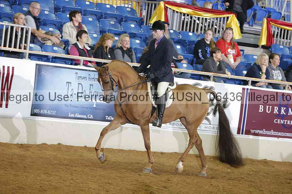 Proof 14usn_06436