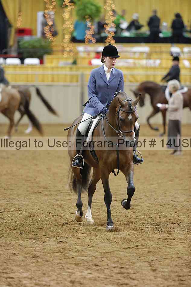 Proof 14usn_06454