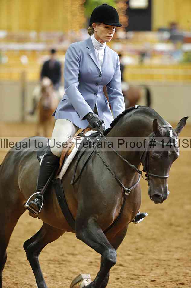Proof 14usn_06456