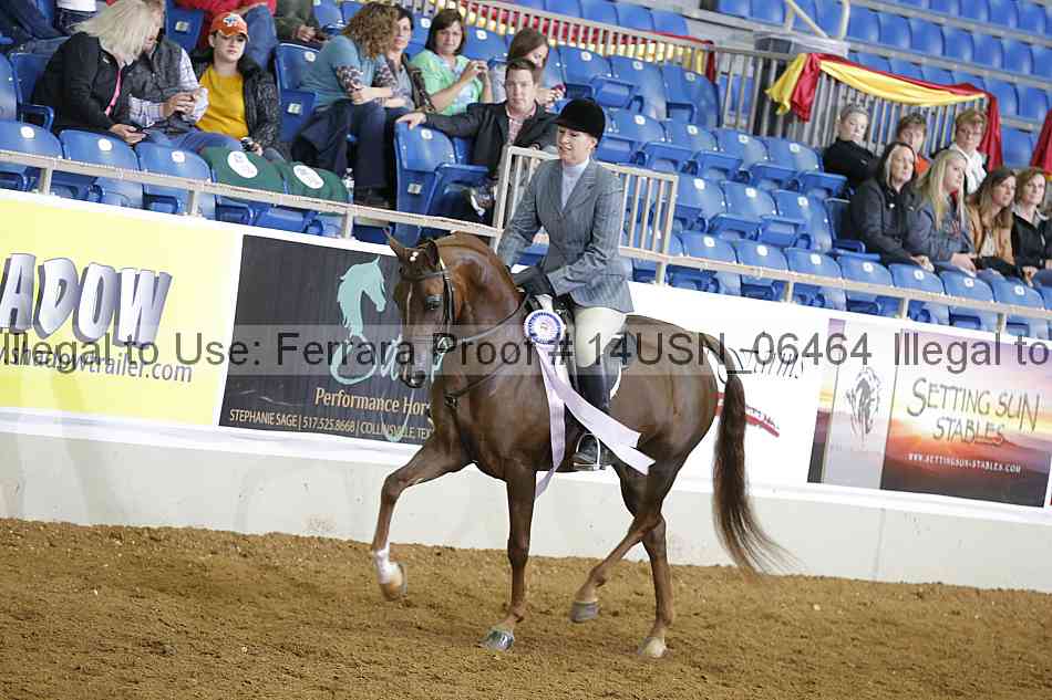 Proof 14usn_06464
