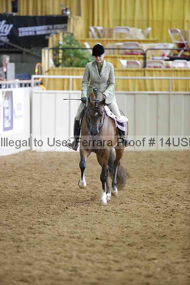 Proof 14usn_06473