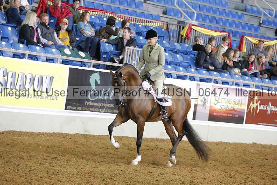 Proof 14usn_06474
