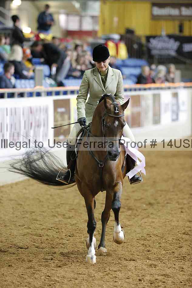 Proof 14usn_06476