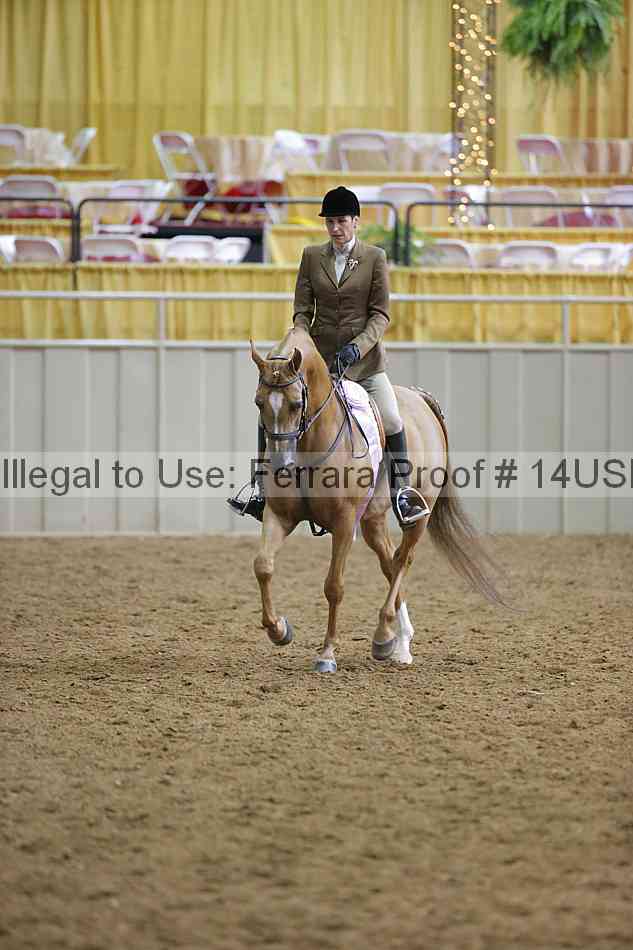 Proof 14usn_06485