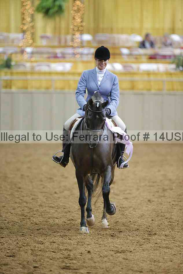 Proof 14usn_06490