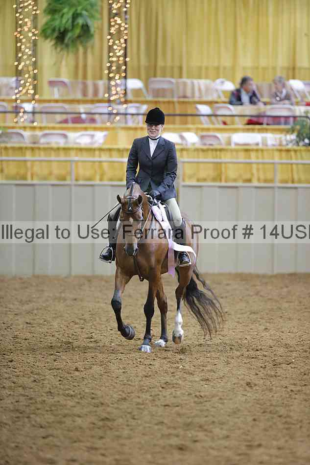 Proof 14usn_06497