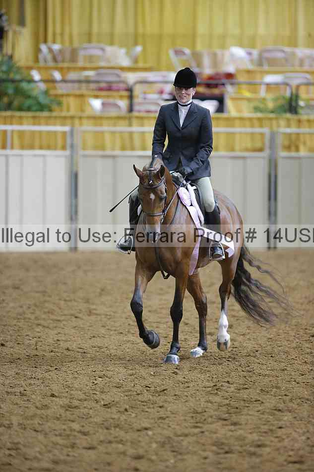 Proof 14usn_06498