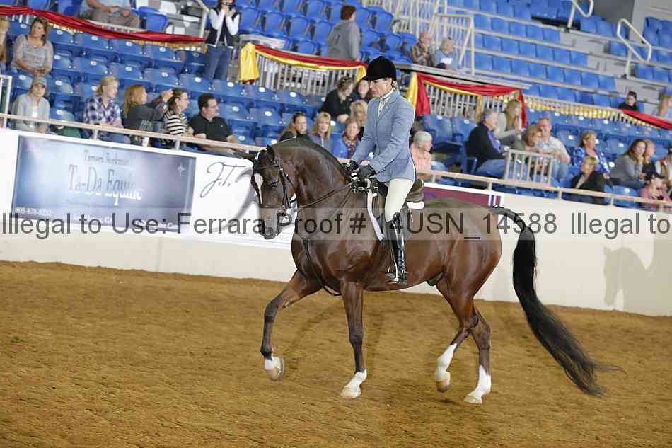 Proof 14usn_14588