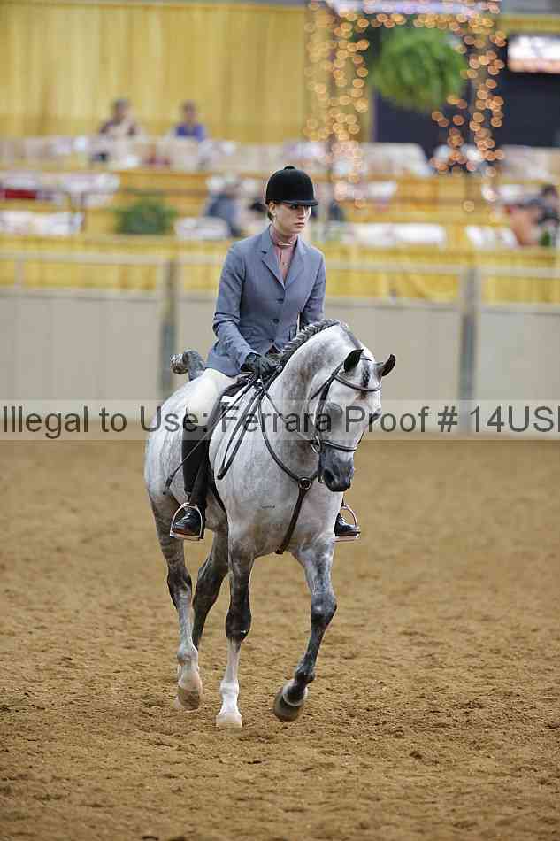 Proof 14usn_14589