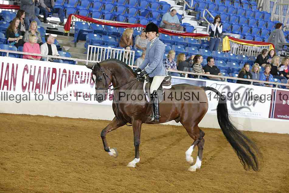 Proof 14usn_14590