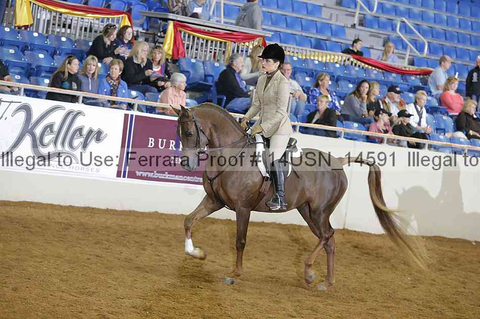 Proof 14usn_14591