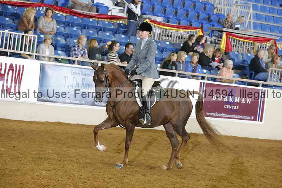 Proof 14usn_14594