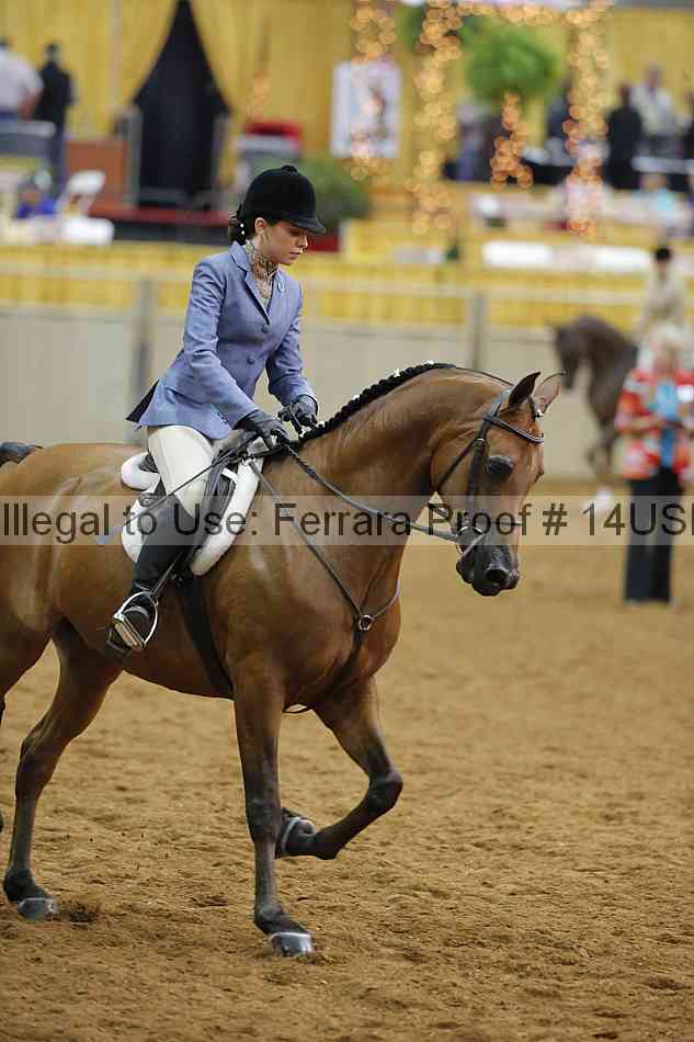 Proof 14usn_14595