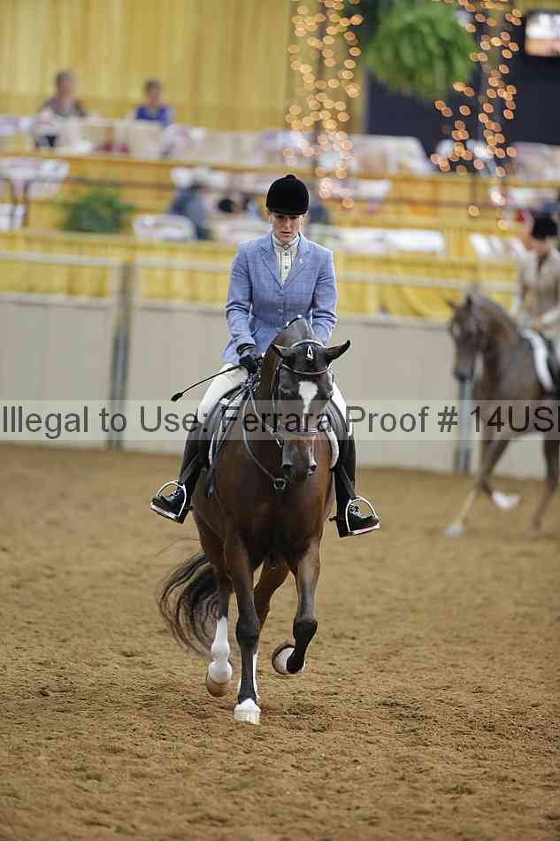 Proof 14usn_14596