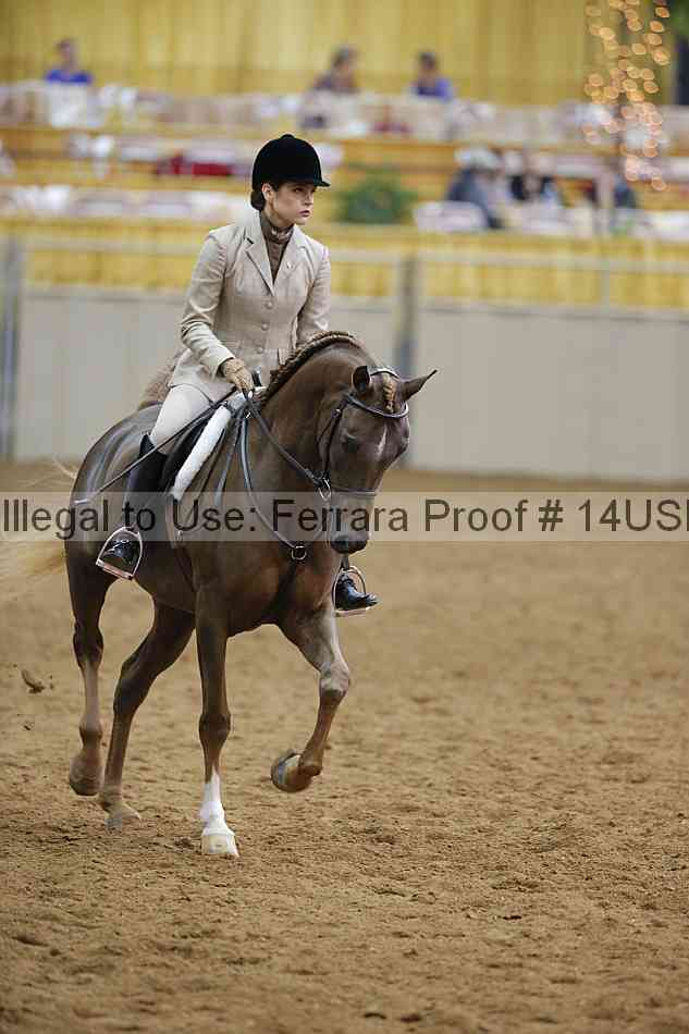 Proof 14usn_14601