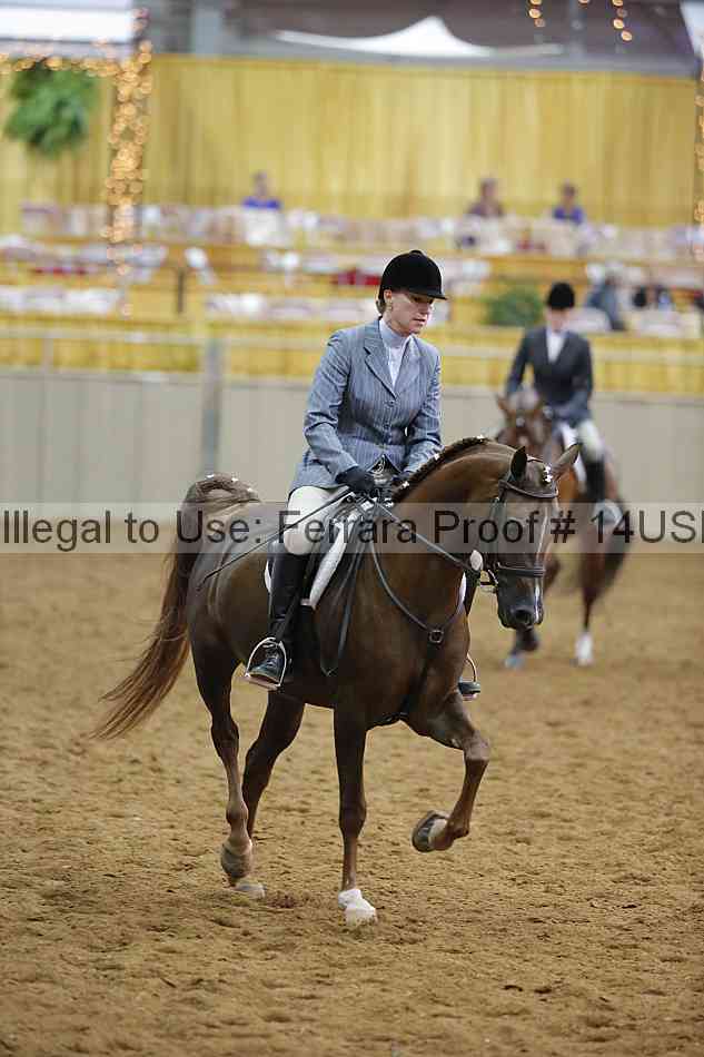 Proof 14usn_14603