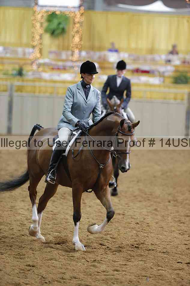 Proof 14usn_14605