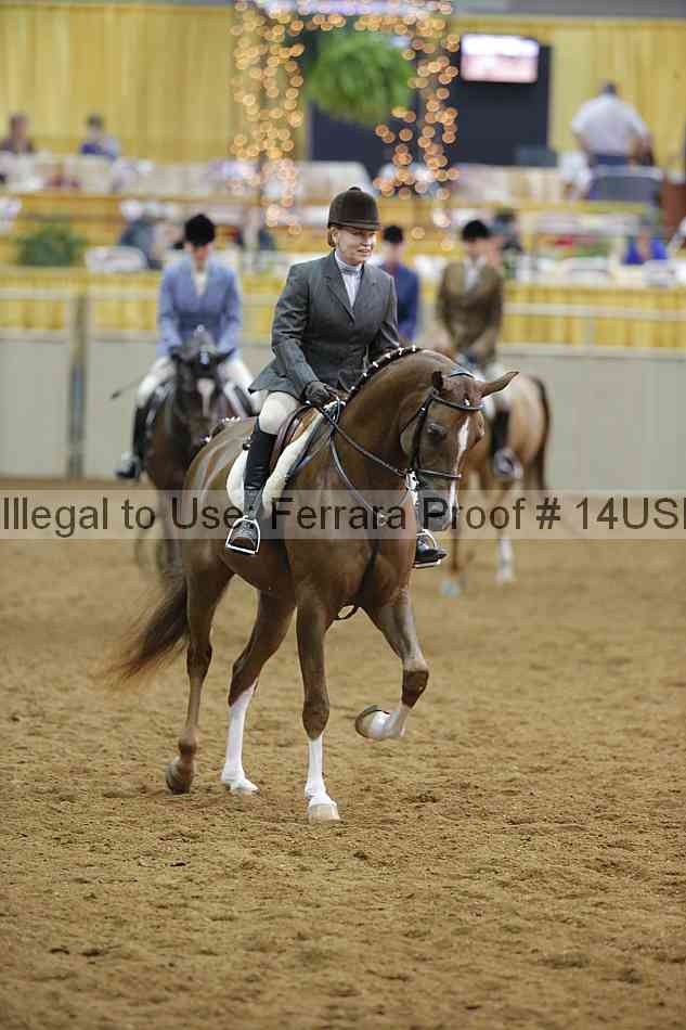 Proof 14usn_14609