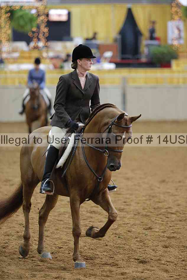 Proof 14usn_14619