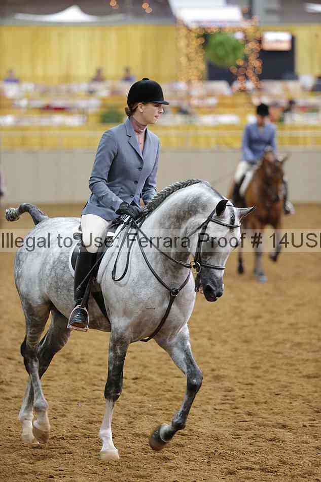 Proof 14usn_14621