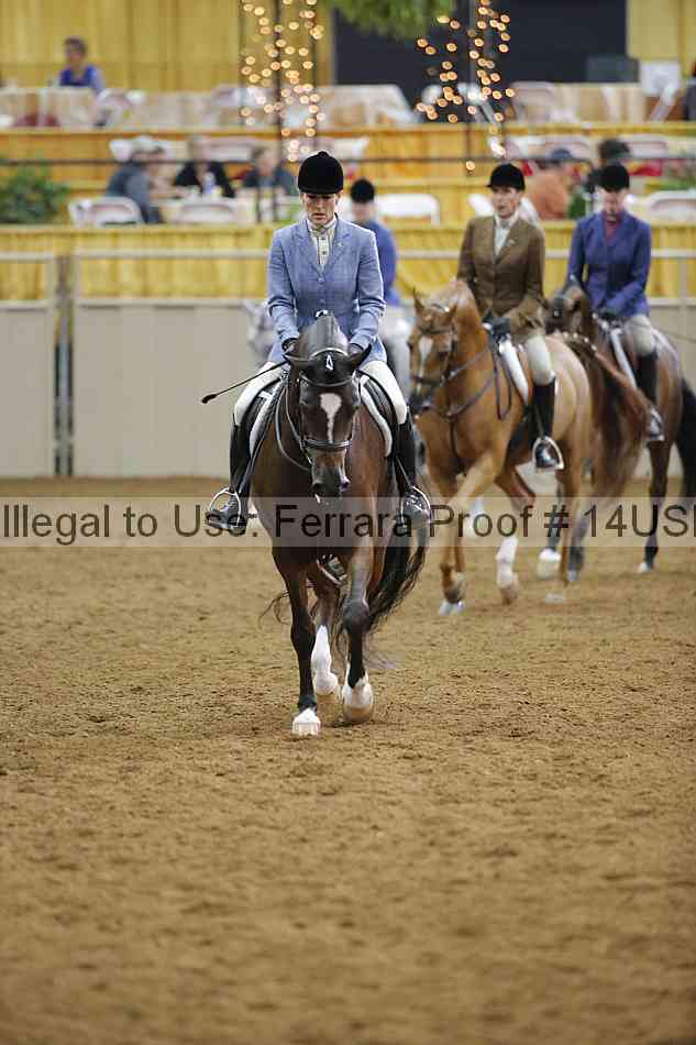 Proof 14usn_14624