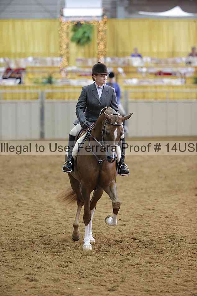 Proof 14usn_14625
