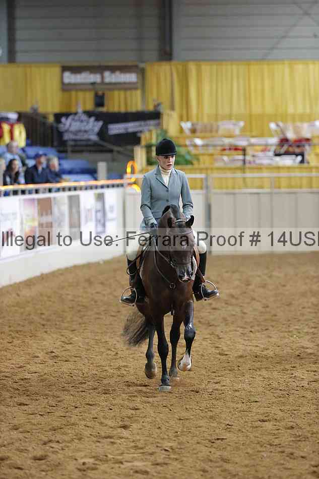 Proof 14usn_14629