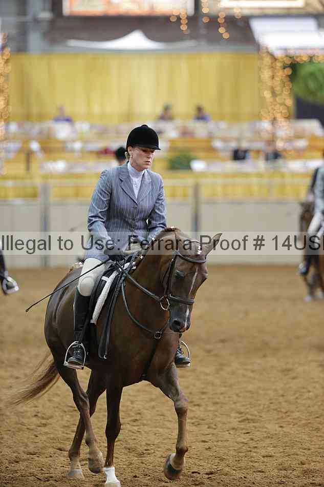 Proof 14usn_14632