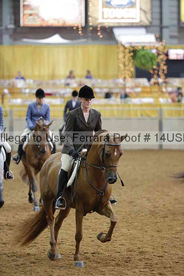 Proof 14usn_14633