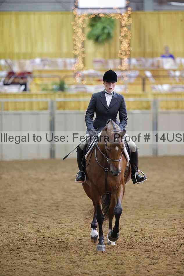 Proof 14usn_14634