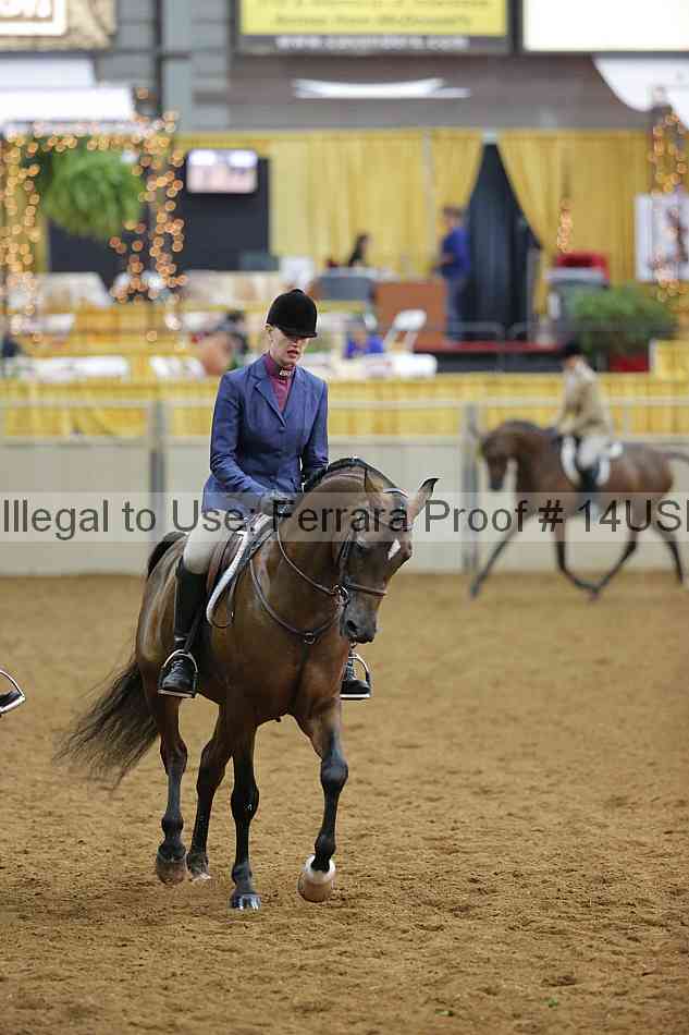 Proof 14usn_14636