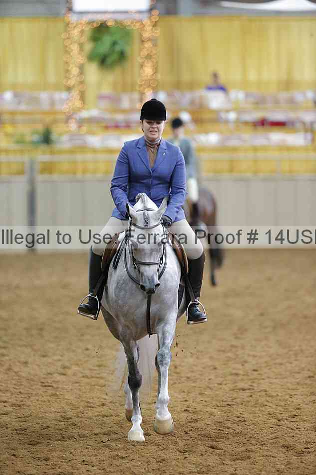Proof 14usn_14638