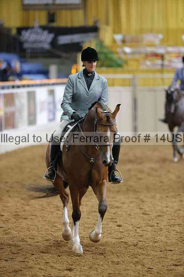 Proof 14usn_14641
