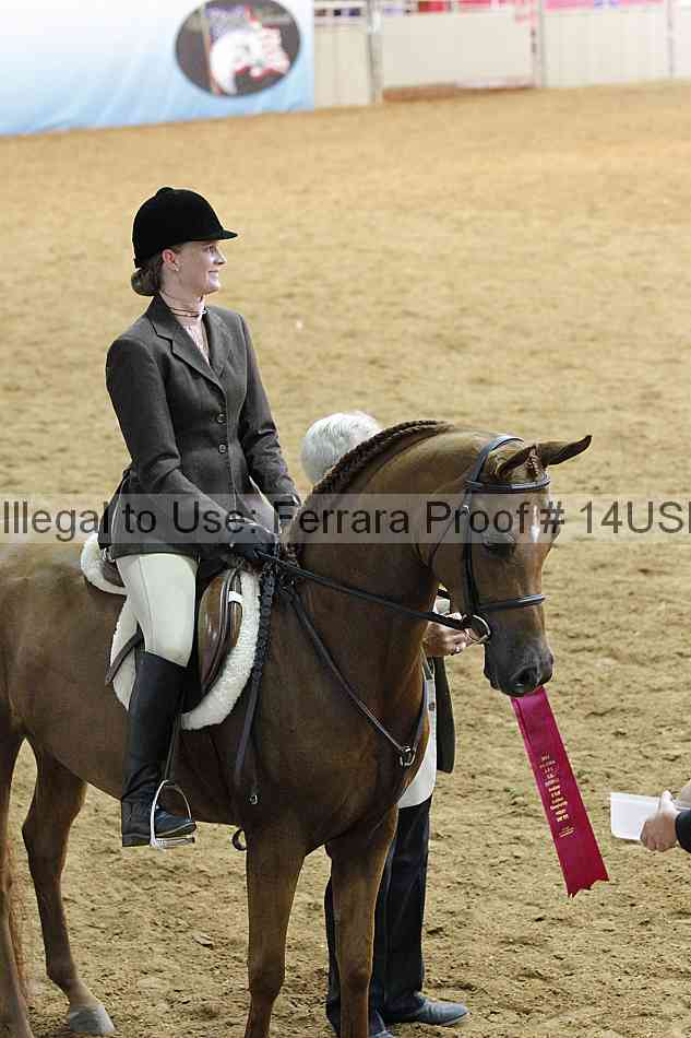 Proof 14usn_14648