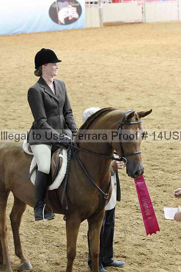 Proof 14usn_14649