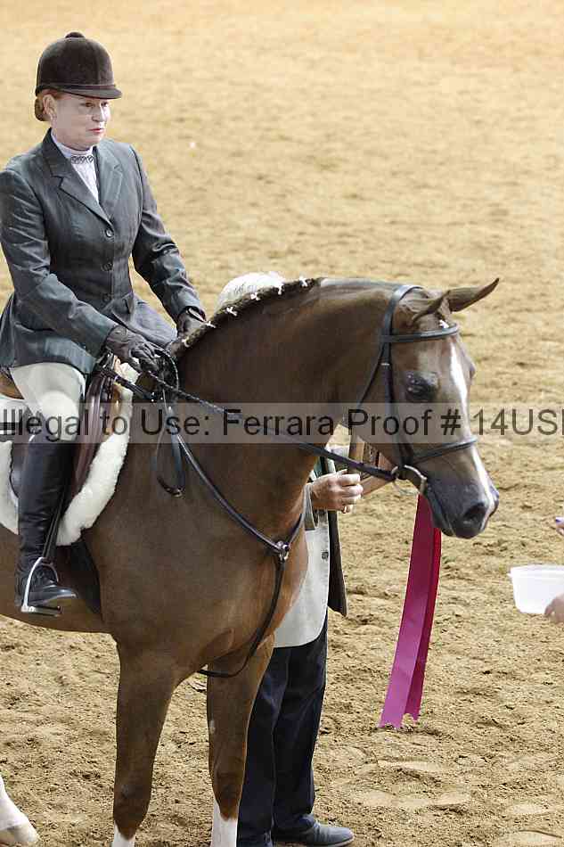 Proof 14usn_14651