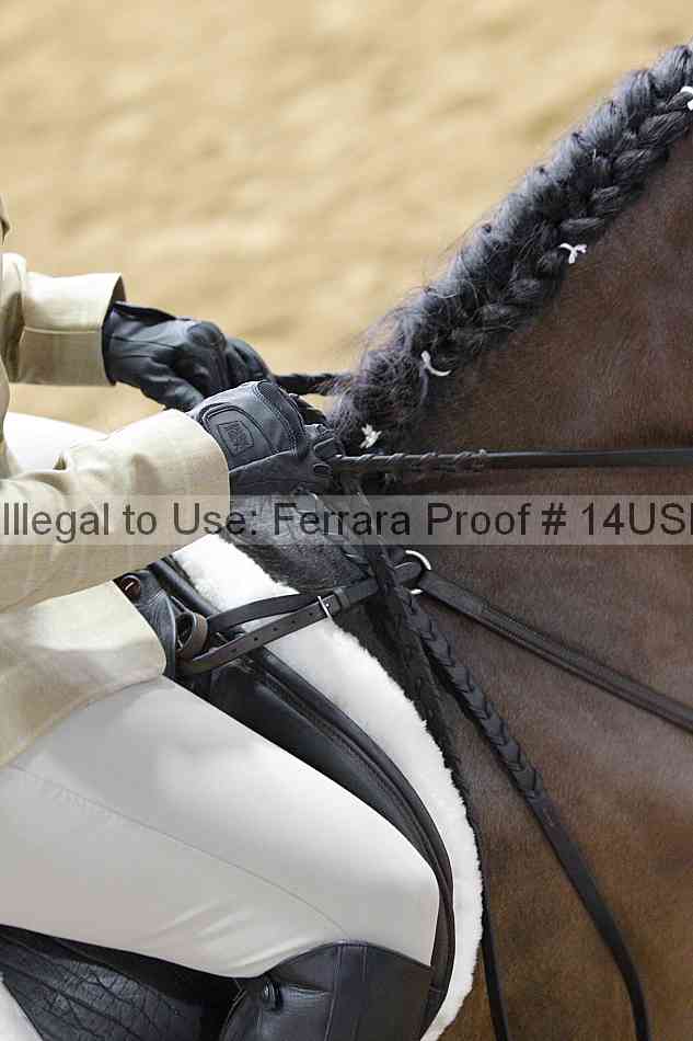Proof 14usn_14656