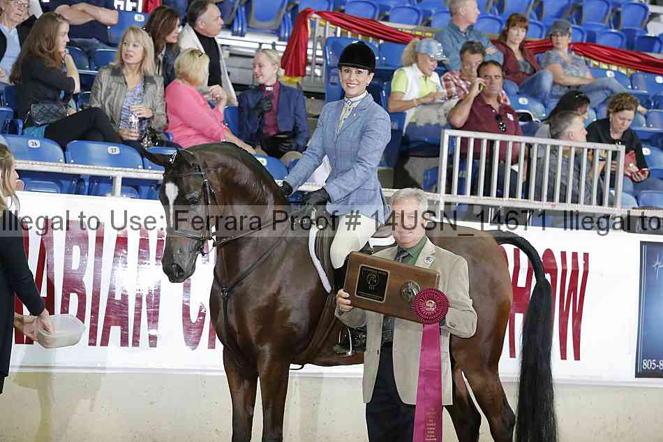 Proof 14usn_14671