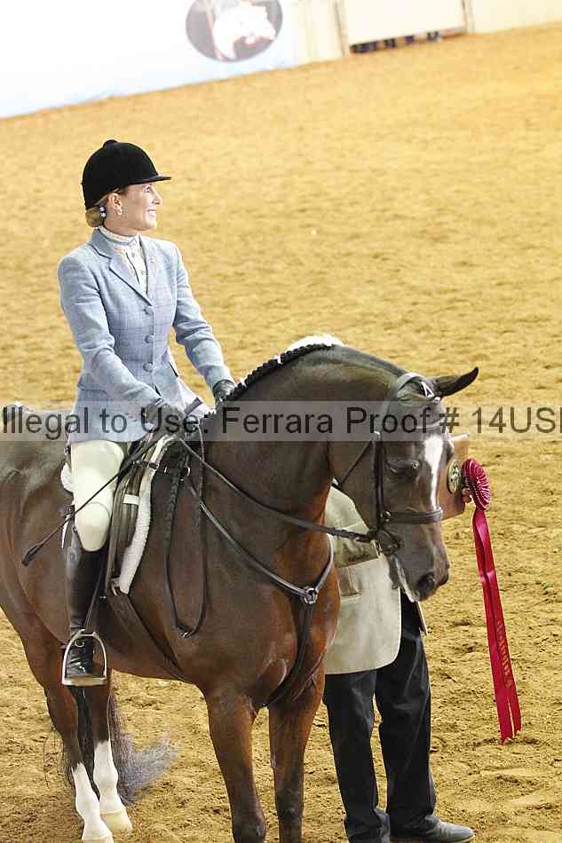 Proof 14usn_14672