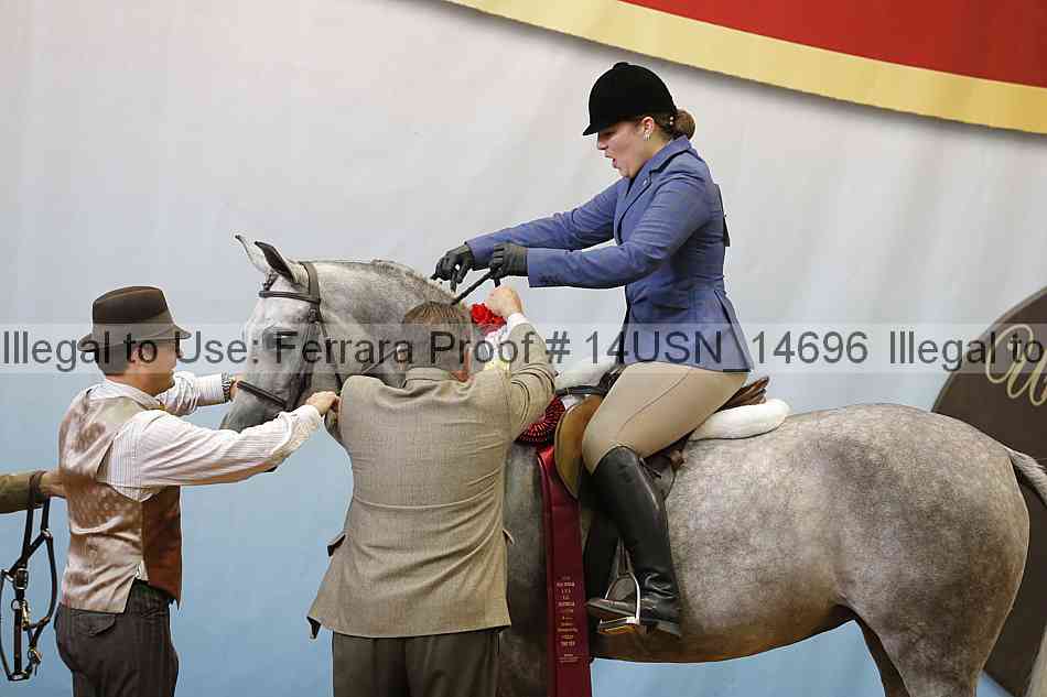 Proof 14usn_14696