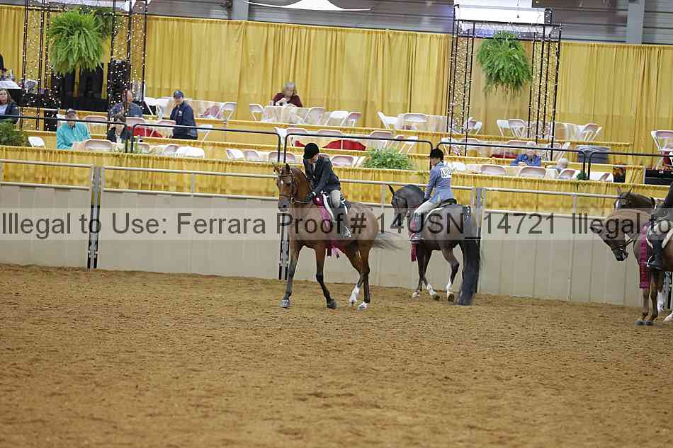 Proof 14usn_14721