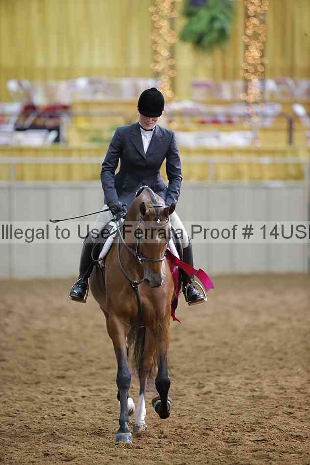 Proof 14usn_14723