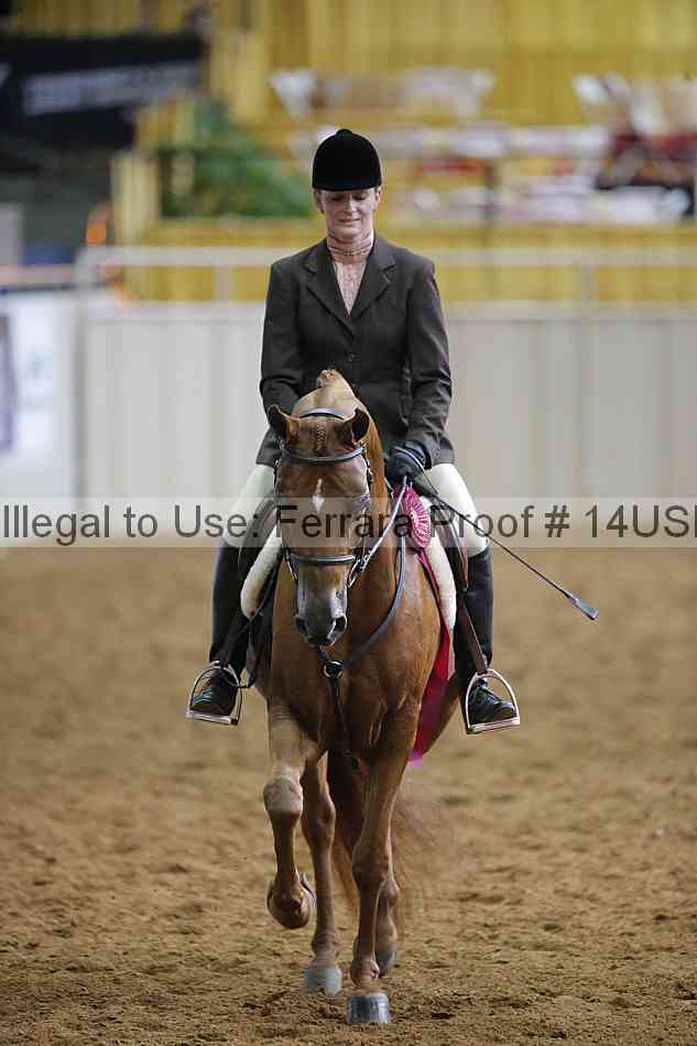 Proof 14usn_14754