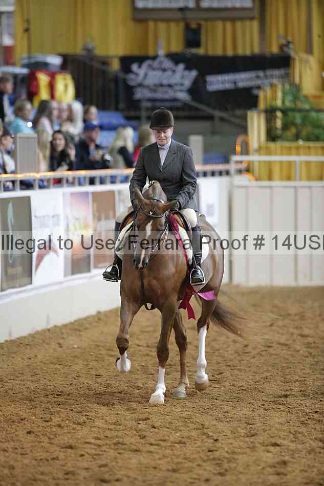 Proof 14usn_14757