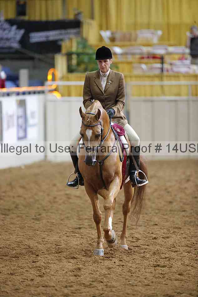 Proof 14usn_14767
