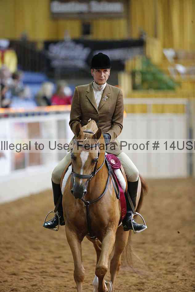 Proof 14usn_14770